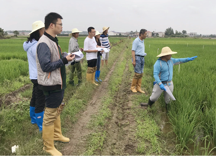 NG����Ʒ�Ƶ�����������������������Ʒӭ���������ִ�