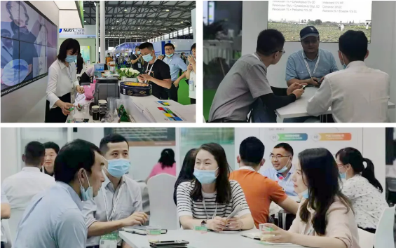 NG����Ʒ�Ƶ������������ʲ�չ�ڶ�ʮ�������ũ�û�ѧƷ��ֲ��չ��